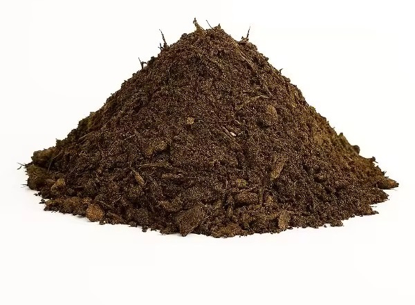 Cow Dung Earthworm Vermicompost